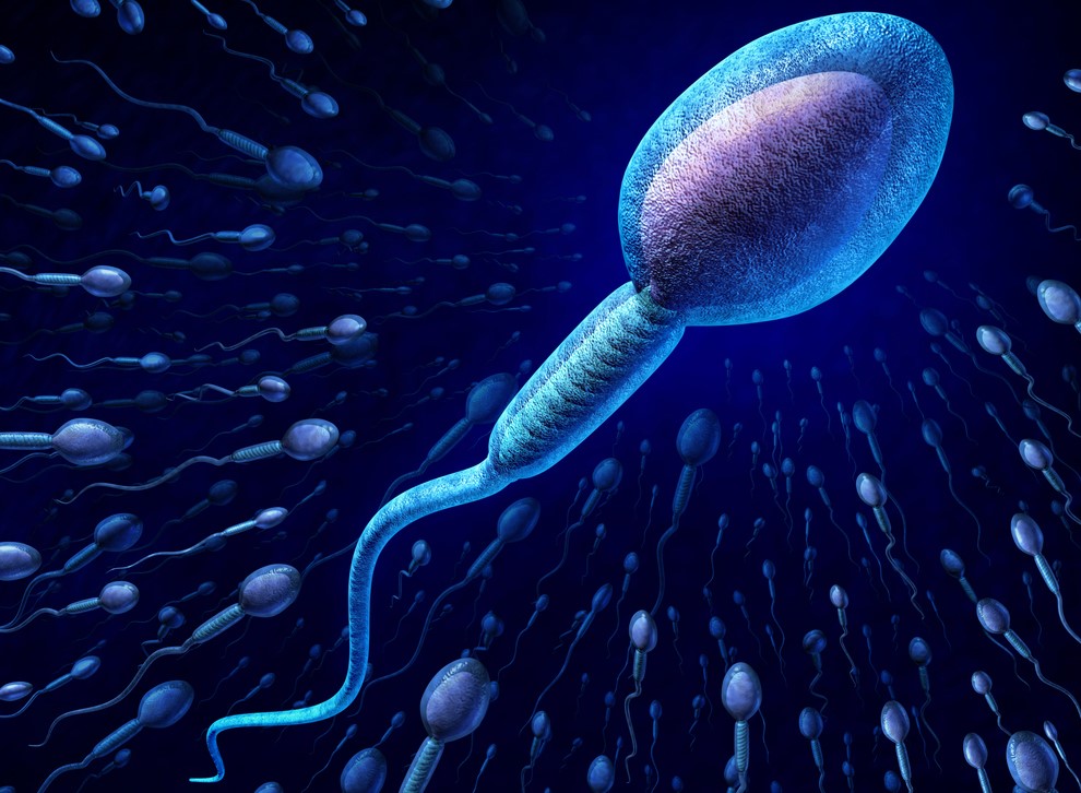 Ini Cara Tingkatkan Kualitas Sperma
